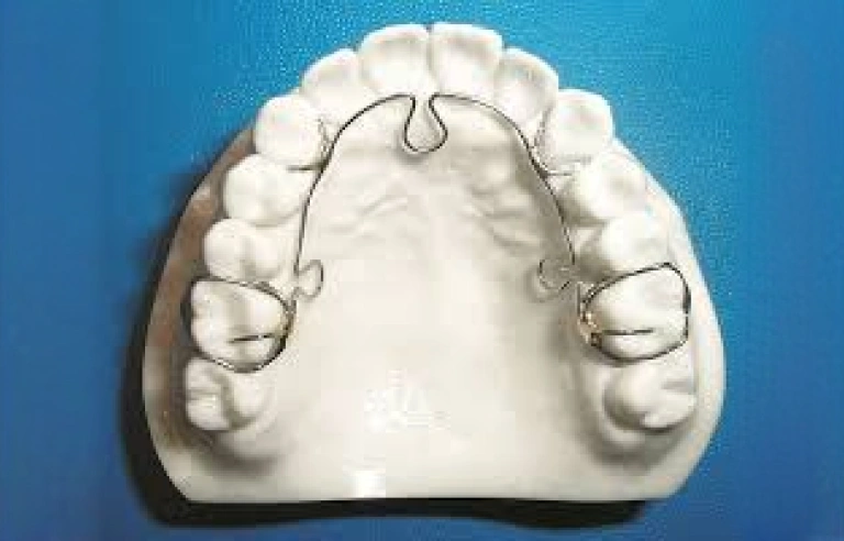 img-alf-orthotropics-on-model